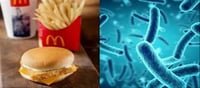 E. coli virus spreads after eating McDonald's burger!